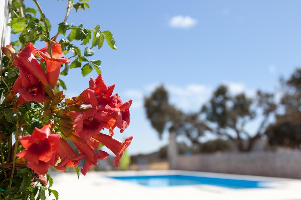 Monte Farropo Hotel Monsaraz Exterior photo